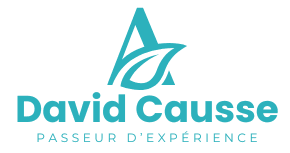 David Causse